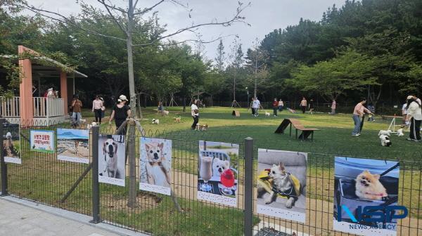 NSP통신-포항시는 지난 12일 흥해읍 죽천리 영일만 근린공원에 반려동물 테마공원 포항펫필드를 개장했다. (사진 = 포항시)