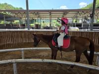 [NSP PHOTO]예천군, 2025년도 학생승마체험 신청. 접수