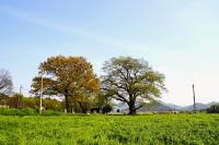 [NSP PHOTO]장흥군, 천연기념물 자연사자원 연구성과 특별전 개최