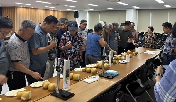 NSP통신-나주시농업기술센터가 진행한 숙기 판정 컨설팅. (사진 = 나주시)