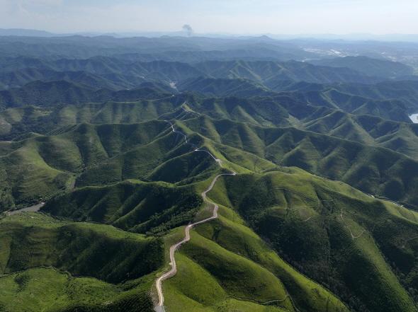 NSP통신-안동시 산불피해 산림복구 기본계획 착수, 산림은 되살리고 지역과 상생하는 산림복구․복원계획 추진 (사진 = 안동시)