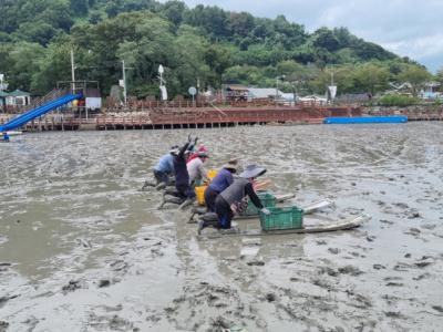 [NSP PHOTO]2025 세계유산축전 선암사순천갯벌다채로운 프로그램 풍성