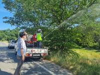 [NSP PHOTO]전남도, 갈색날개매미충 등 돌발해충 확산 차단 총력