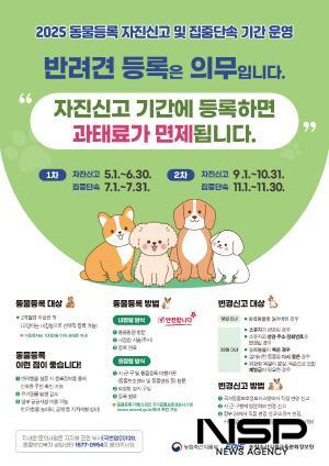 NSP통신-동물등록 자진신고 기간 운영 포스터 (이미지 = 광양시청)