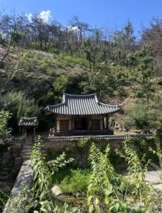 NSP통신-만휴정 개방과 함께 인근의 안동포타운, 금소마을, 묵계서원 등을 연계한 관광 프로그램도 활성화될 것으로 기대된다. (사진 = 안동시)