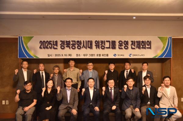 NSP통신-경상북도는 18일 대구 그랜드호텔에서 대구경북공항과 연계한 지역발전 전략을 수립해 정책에 반영하기 위한 2025년 경북공항 시대 워킹그룹 회의를 개최했다. (사진 = 경상북도)