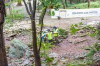 [NSP PHOTO]성남시, 분당 율동공원 일대서 생물다양성 탐사 활동 전개