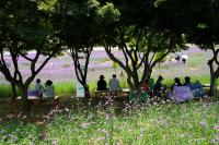 [NSP PHOTO]장성군, 오는 24일 상무대·북이도서관서 책과 함께 하는 문화 행사 개최