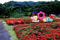 [NSP PHOTO]봉화군, 누정문화를 한곳에서 보는 정자문화생활관