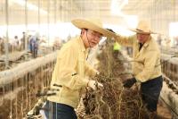 [NSP PHOTO]나주시, 7월 호우 피해 재난지원금 신속 집행 완료