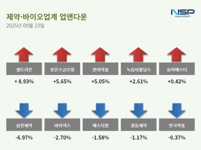 NSP통신- (그래프 = 정송이 기자)
