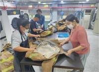 [NSP PHOTO]장흥군,  지역자활센터와 파워클린 세탁사업 본격 운영