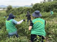 [NSP PHOTO]전남농협-법무부 보라미 봉사단,  영농현장 인력지원 시작