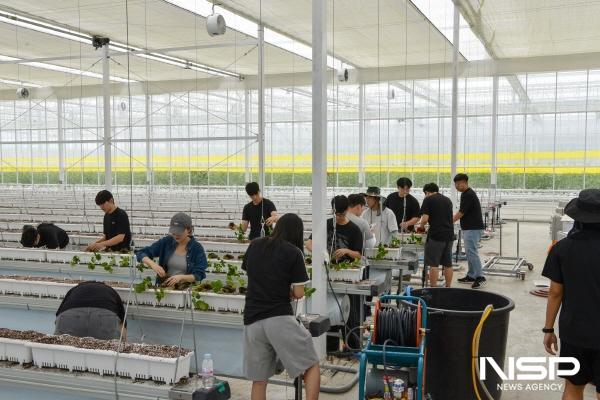NSP통신-순천대는 2025학년도 실무실습 교육비 지원 대폭 확대 편성했다 (사진 = 순천대)
