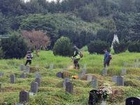 [NSP PHOTO]장흥군, 추석 맞이 공설공원 묘지 벌초 작업 마무리