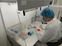 [NSP PHOTO]전남동물위생시험소, 추석 앞두고 도축장 연장 운영