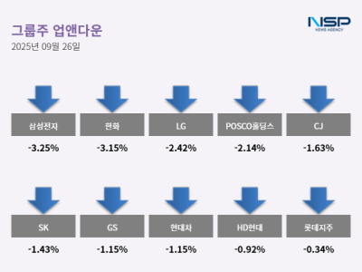 [NSP PHOTO][업앤다운]그룹주 하락…HD현대↓·롯데지주↓