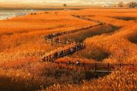 [NSP PHOTO]추석 황금연휴, 순천서 즐기는 특별한 여행