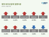 [NSP PHOTO][업앤다운] 제약주 상승… 보로노이↑· 노바렉스↓