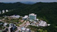[NSP PHOTO]원주시, 명절인사 불법 현수막 223매 일제 정비