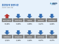 [NSP PHOTO][업앤다운]증권주 하락…메리츠금융지주↑·한화투자증권↓