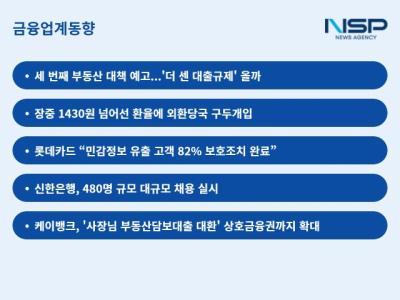 [NSP PHOTO]李정부 출범 4개월만에 세 번째 대출규제 예고