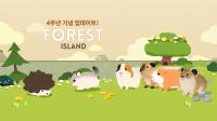 [NSP PHOTO]나날이 스튜디오, 포레스트 아일랜드 4주년 기념 업데이트 진행