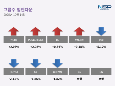 [NSP PHOTO][업앤다운]그룹주 하락…POSCO홀딩스↑·한화↓