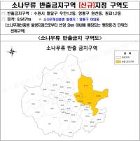 [NSP PHOTO]수원시, 소나무재선충병 확산 방지 총력 대응중