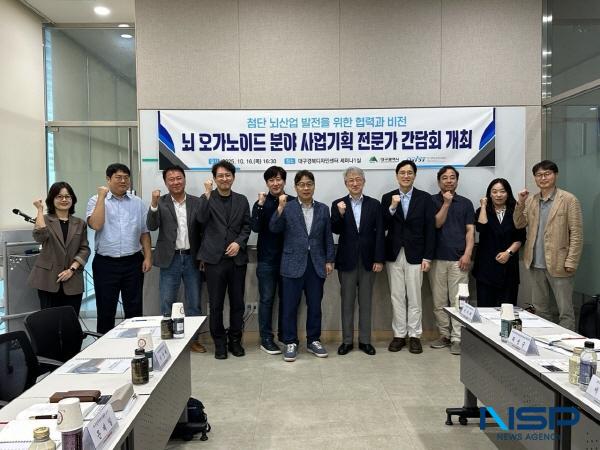 [NSP PHOTO]대구시, 뇌 오가노이드 사업기획 전문가 간담회 개최