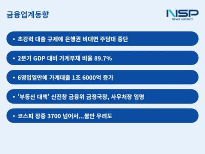 [NSP PHOTO][금융업계동향]6·27 대책 반짝 효과였나…가계대출 6일만에 1조 6000억 증가