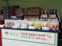 [NSP PHOTO]영주시, 제18회 아줌마대축제 참가