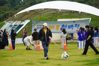 [NSP PHOTO]경기도 반려마루화성 홈커밍데이 열고 반려가족 300명과 교감 나눠