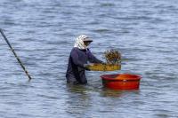 [NSP PHOTO]광양시, 남해‧하동군과 전통어업 세계화 공동 대응 박차