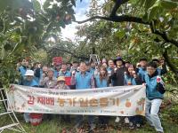 [NSP PHOTO]경북테크노파크, 청도 감 재배 농가 일손돕기 봉사활동 실시