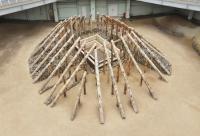 [NSP PHOTO]경주시, 신라 고분 복원 현장 APEC 정상회의 기간 시민에 공개