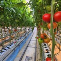 [NSP PHOTO]광양시, 저탄소 농산물 인증으로 탄소중립 농업 선도