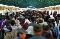 [NSP PHOTO]영주시, 풍기인삼축제·농특산물대축제 연일 뜨거운 호응