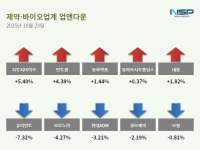 [NSP PHOTO][업앤다운]제약주 하락…지투지바이오↑· 보로노이↓