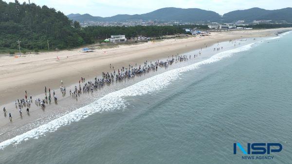 NSP통신- (사진 = 완도군)