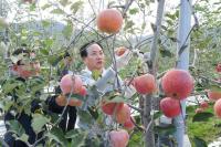 [NSP PHOTO]오산시, 자매도시 장수군서 민간교류 사과따기 체험 성료