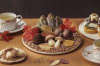 [NSP PHOTO]카시아 속초, 설악의 단풍과 미식이 만난 가을 프로모션 선보여