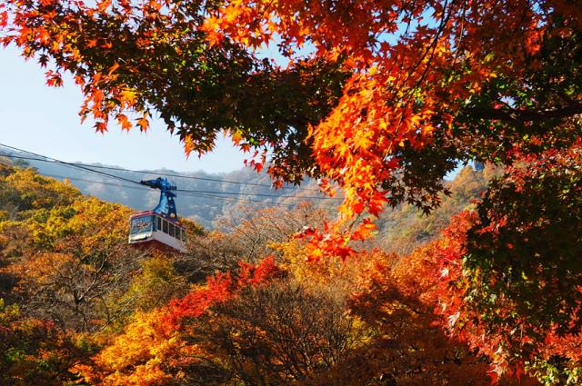 NSP통신-설악산 가을 풍경. (사진 = 카시아속초)