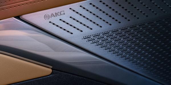 NSP통신-에스컬레이드IQ AKG 사운드 시스템 (사진 = 캐딜락 코리아)