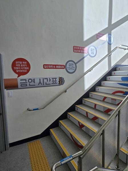 NSP통신- (사진 = 장흥군)