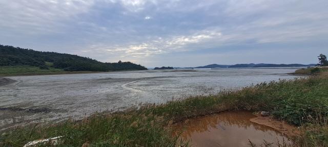 NSP통신-일명 뒷뻘등 일대 전경 (사진 = 윤시현 기자)