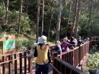 [NSP PHOTO]광양시 치매안심센터, 치매 환자와 가족이 함께하는 힐링나들이