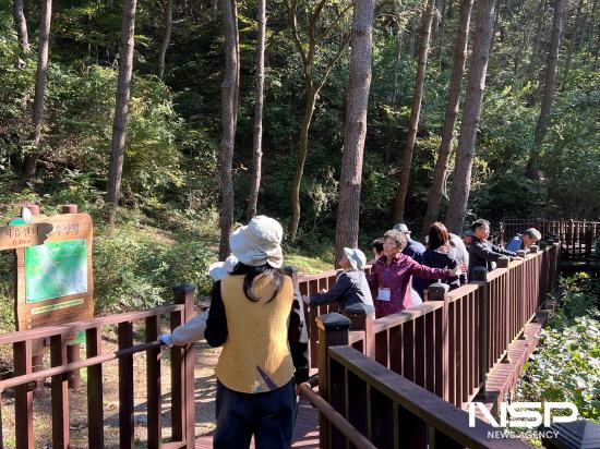 NSP통신-백운산 치유의 숲에서 치매 환자와 가족을 위한 힐링 나들이 행사 (사진 = 광양시청)