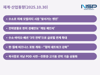 [NSP PHOTO]재계산업동향현대차고려아연코오롱 APEC 계기 글로벌 협력 강화