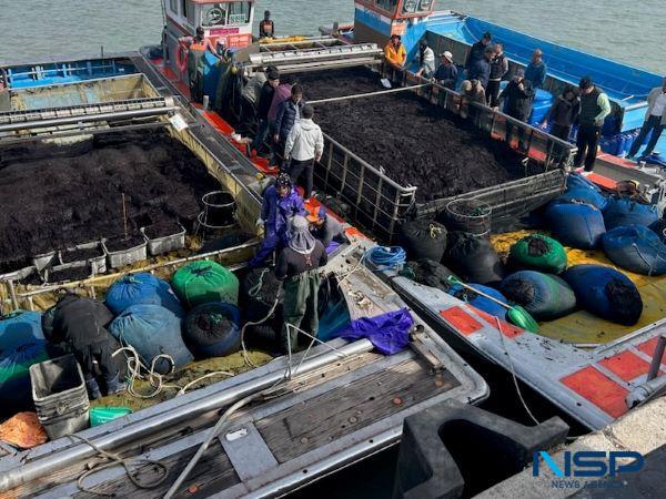 NSP통신- (사진 = 진도군)